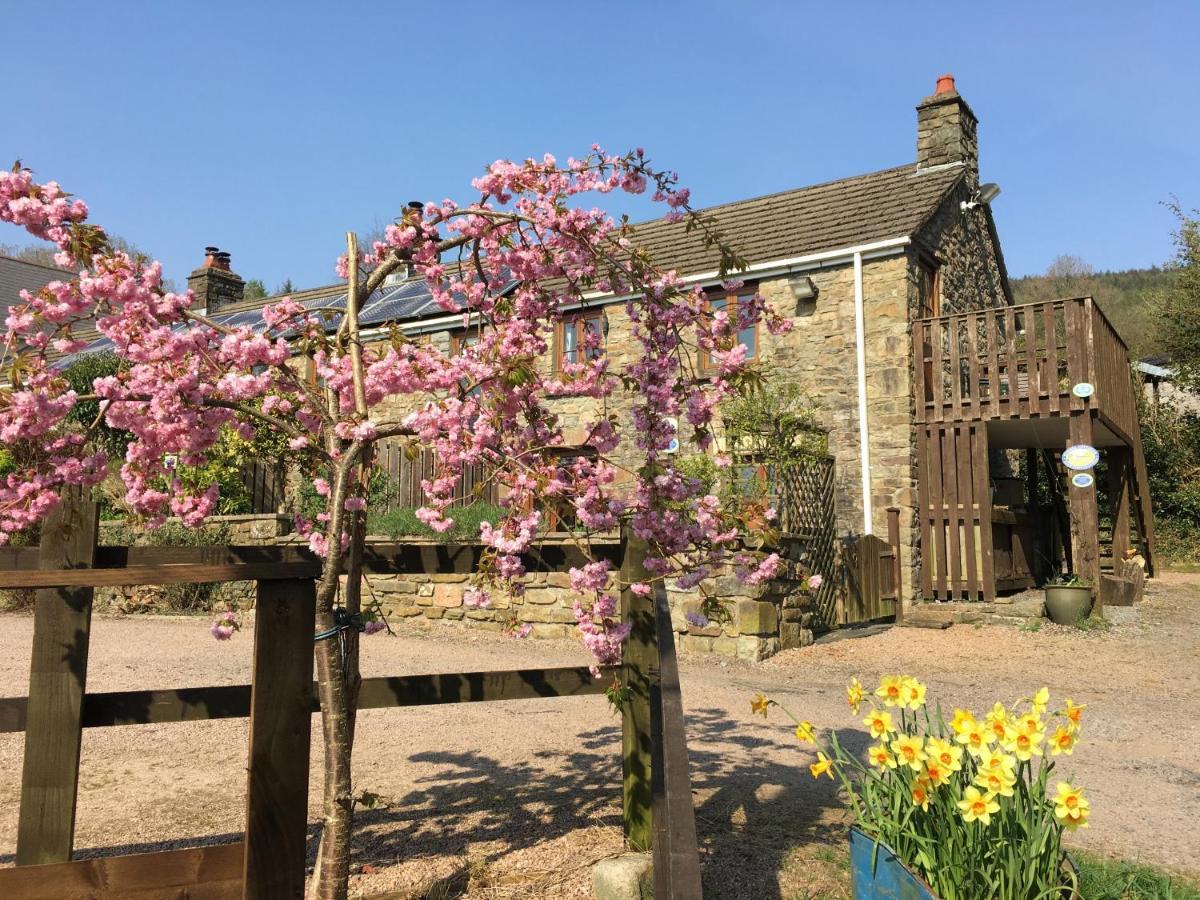 Tunnel Cottages At Blaen-Nant-Y-Groes Farm Aberdare Luaran gambar