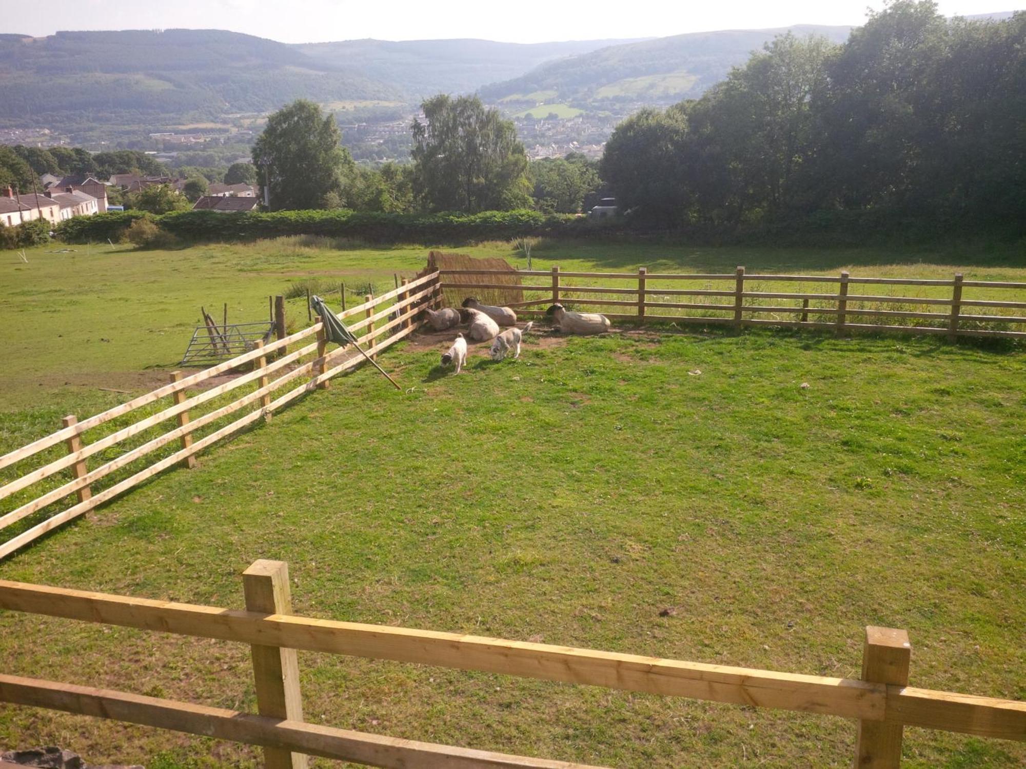 Tunnel Cottages At Blaen-Nant-Y-Groes Farm Aberdare Bilik gambar