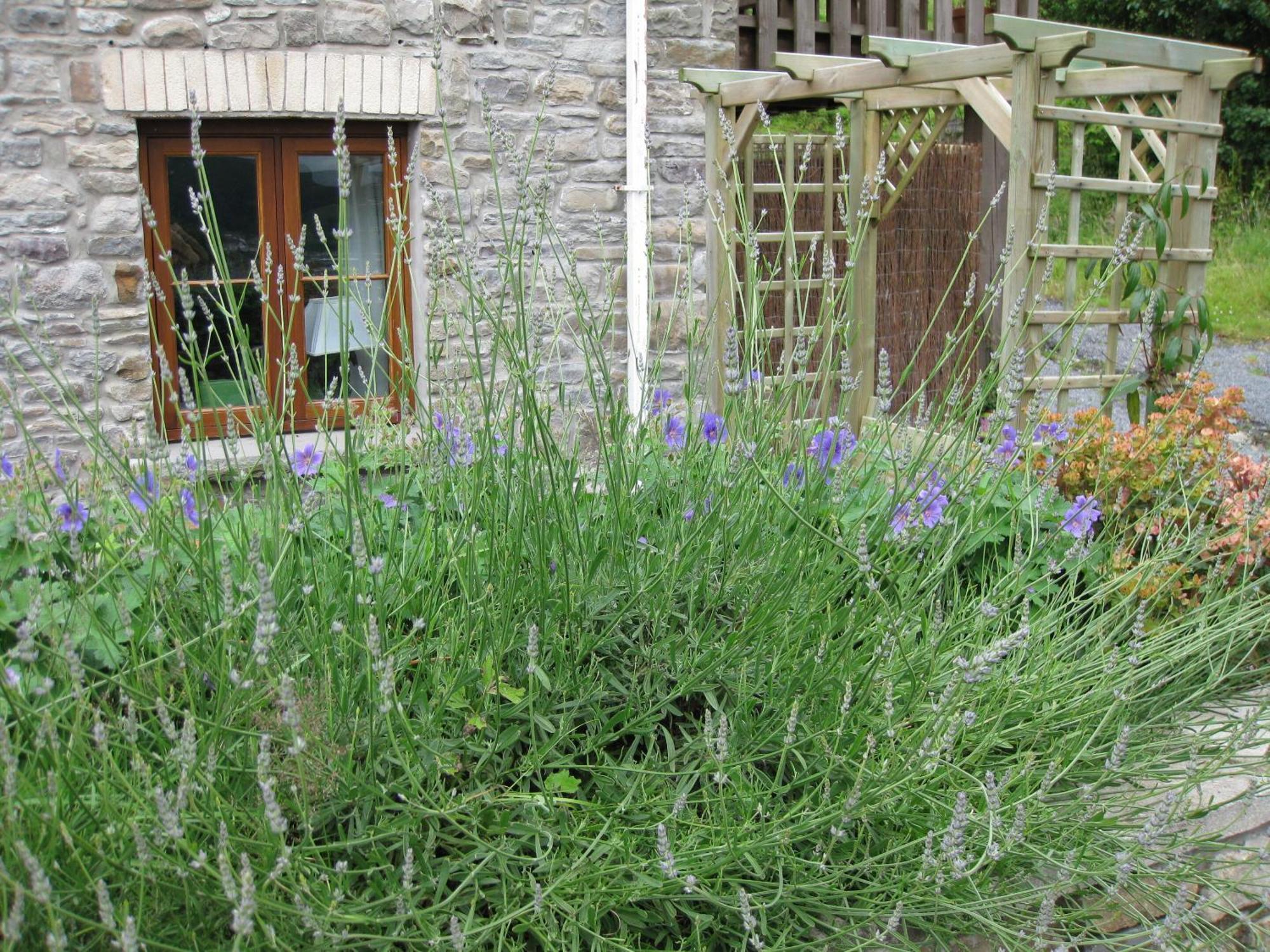 Tunnel Cottages At Blaen-Nant-Y-Groes Farm Aberdare Bilik gambar